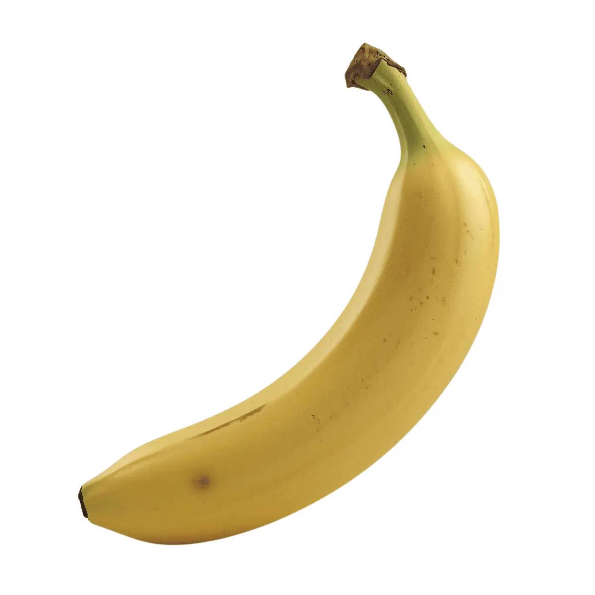 Muz